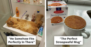 50 Incredibly Satisfying Moments of Things Fitting Together Perfectly