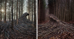 Photographer Creates Giant Wave Sculptures from Deadwood in Hamburg Forest