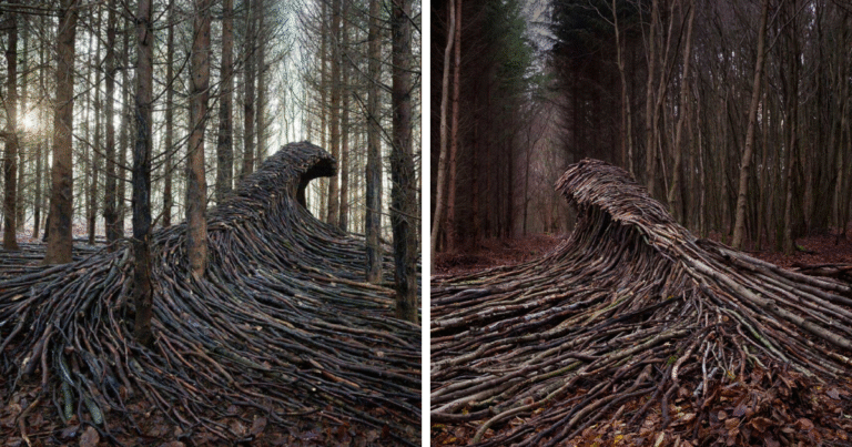 Photographer Creates Giant Wave Sculptures from Deadwood in Hamburg Forest