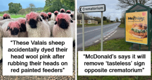 32 Unintentionally Hilarious Moments The Internet Couldn’t Stop Laughing At