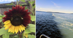 25 Weird and Unbelievable Photos You’ll Never Forget