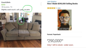 23 Bizarre and Hilarious Things People Actually Tried to Sell Online