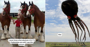 25 Mind-Bending Photos That Put the True Size of Everything Into Perspective