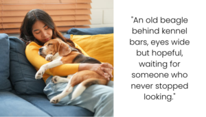 She Said Our Dog Was Dead. I Found Him Alive at the Pound.