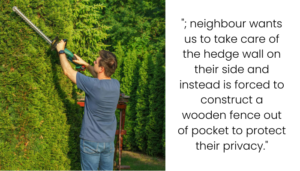 Neighbor Complained About Our Hedge, So We Made Them Build a Fence Instead