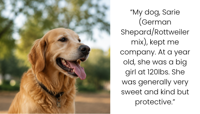 High School Students Harass Neighbor’s Dog, But Their Actions Lead to Unexpected Consequences